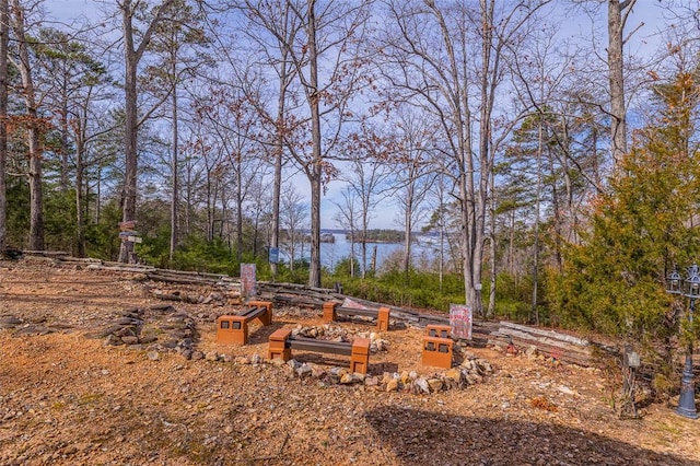 410 Peninsula Dr, Anderson, SC 29626 - photo 47