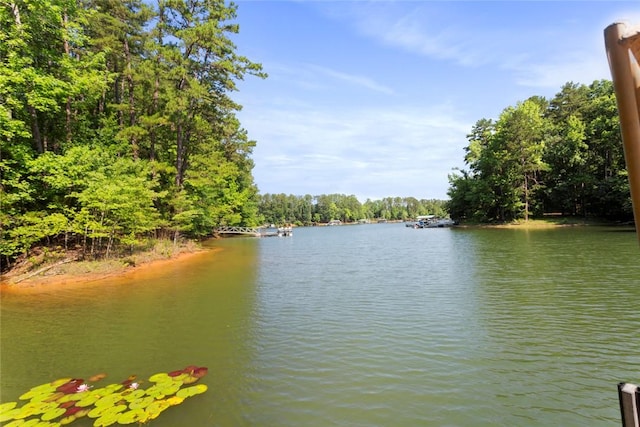 200 Mullins Ford Landing Rd, Westminster, SC 29693 - water view