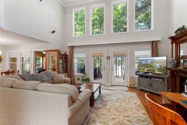 200 Mullins Ford Landing Rd, Westminster, SC 29693 - living area featuring a towering ceiling, healthy amount of natural light, wood finished floors, and crown molding