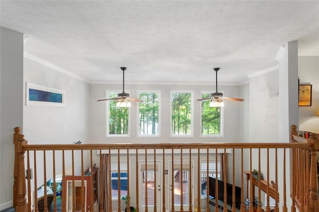 200 Mullins Ford Landing Rd, Westminster, SC 29693 - corridor featuring crown molding