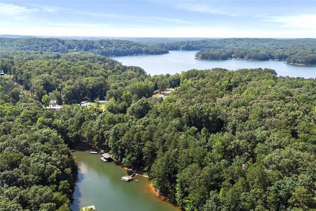 200 Mullins Ford Landing Rd, Westminster, SC 29693 - aerial view of a large body of water