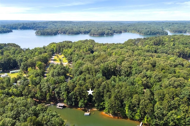 200 Mullins Ford Landing Rd, Westminster, SC 29693 - aerial view of a forest and a large body of water