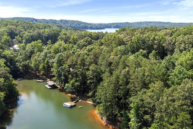 200 Mullins Ford Landing Rd, Westminster, SC 29693 - drone / aerial view of a heavily wooded area and a nearby body of water
