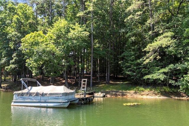 200 Mullins Ford Landing Rd, Westminster, SC 29693 - dock with a water view
