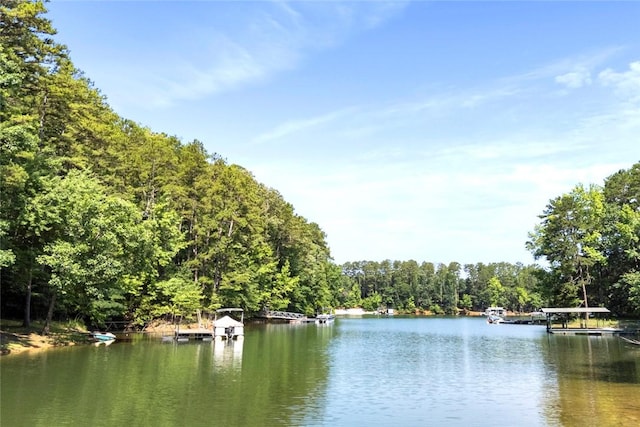 200 Mullins Ford Landing Rd, Westminster, SC 29693 - water view with a heavily wooded area and a boat dock