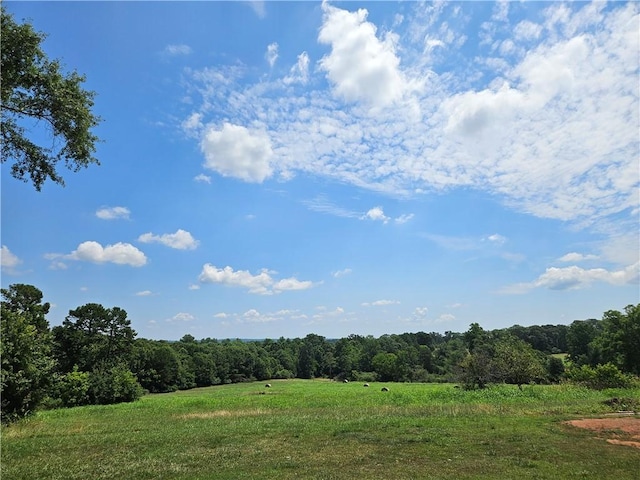 150 Prater Dr, Seneca, SC 29678 - view of tree filled area featuring a rural view