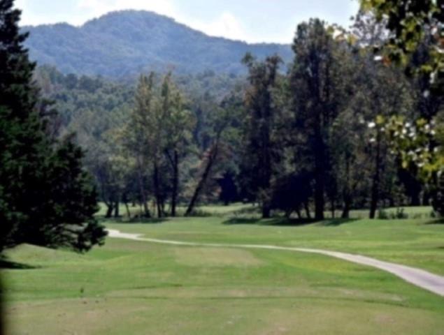 205 Gauley Falls Rd, Pickens, SC 29671 - photo 44