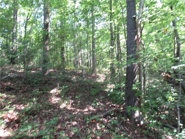 205 Gauley Falls Rd, Pickens, SC 29671 - photo 4