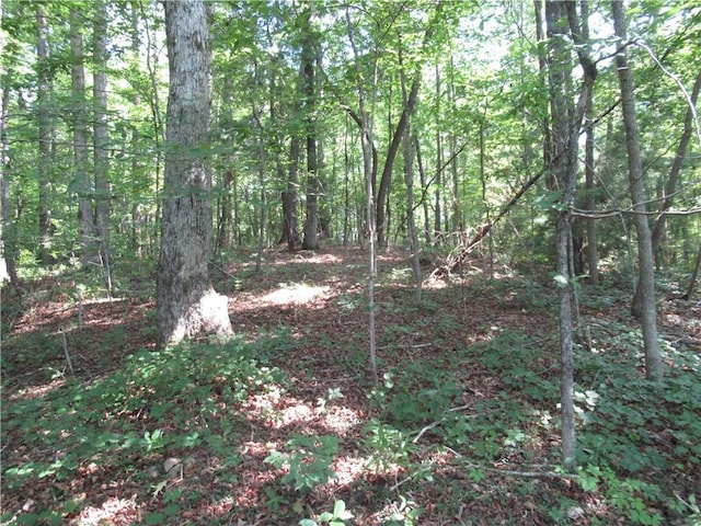 205 Gauley Falls Rd, Pickens, SC 29671 - photo 1