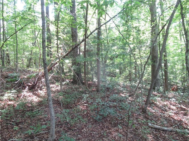 205 Gauley Falls Rd, Pickens, SC 29671 - photo 7