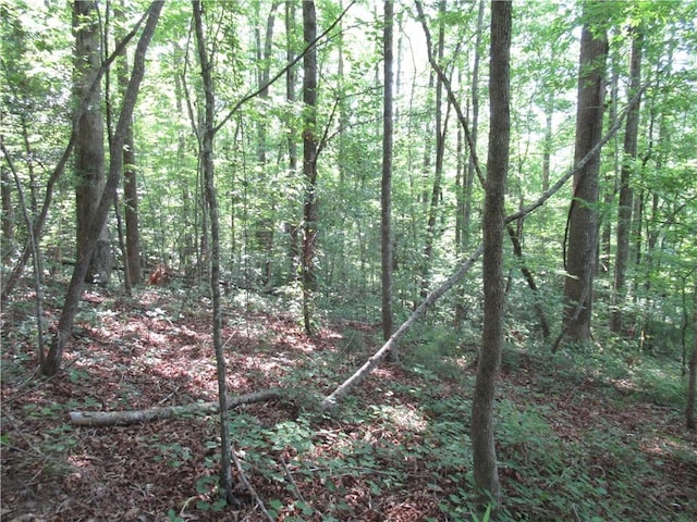 205 Gauley Falls Rd, Pickens, SC 29671 - photo 8