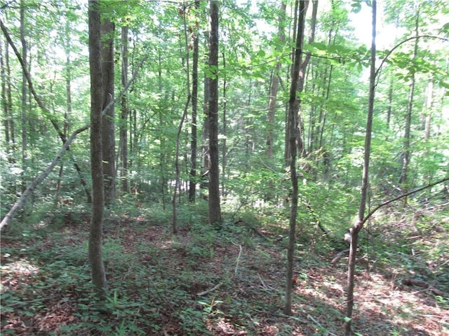 205 Gauley Falls Rd, Pickens, SC 29671 - photo 9