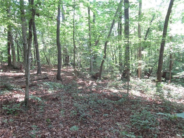 205 Gauley Falls Rd, Pickens, SC 29671 - photo 2