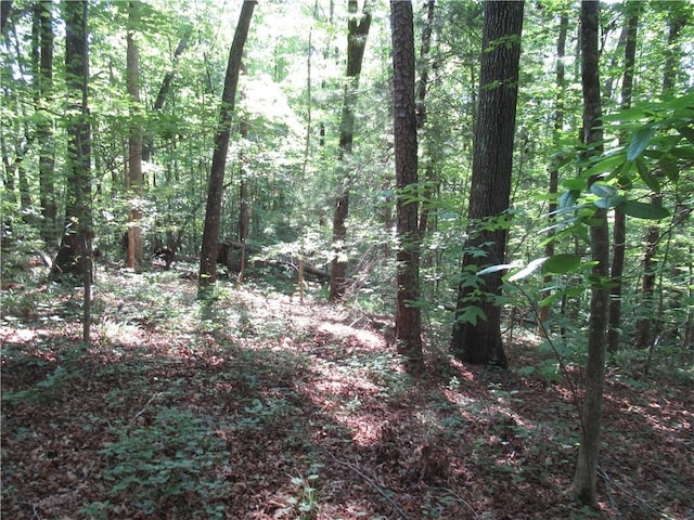 205 Gauley Falls Rd, Pickens, SC 29671 - photo 12
