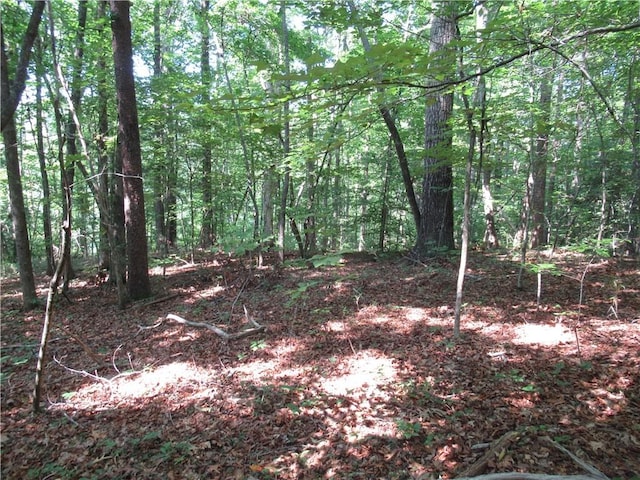 205 Gauley Falls Rd, Pickens, SC 29671 - photo 19