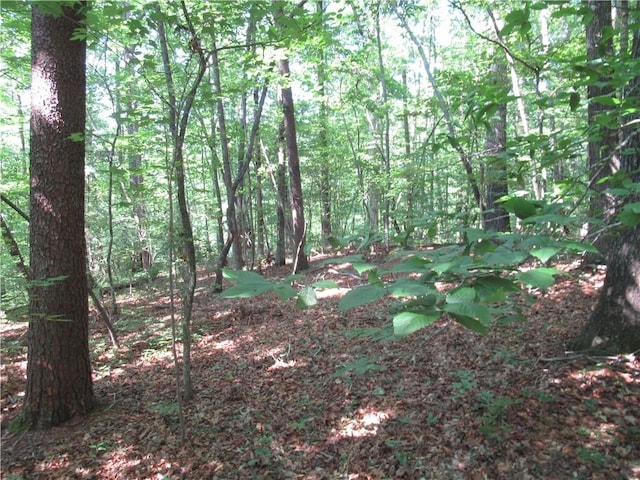 205 Gauley Falls Rd, Pickens, SC 29671 - photo 20