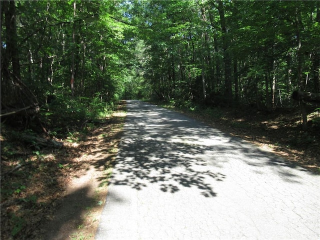 205 Gauley Falls Rd, Pickens, SC 29671 - photo 21