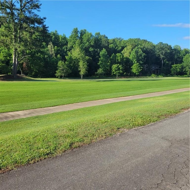 205 Gauley Falls Rd, Pickens, SC 29671 - photo 23