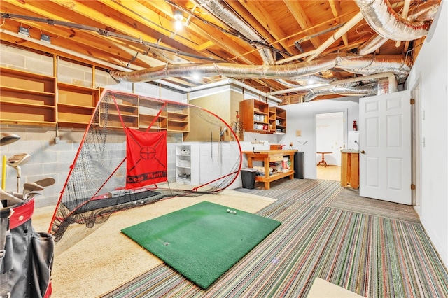 4 Slack Tide Ct, Salem, SC 29676 - view of unfinished basement
