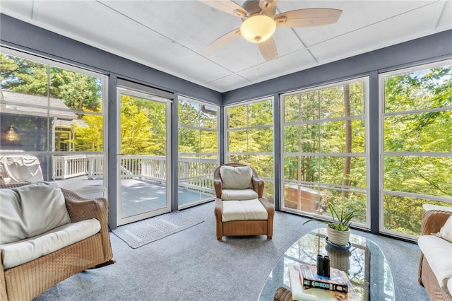4 Slack Tide Ct, Salem, SC 29676 - sunroom with ceiling fan