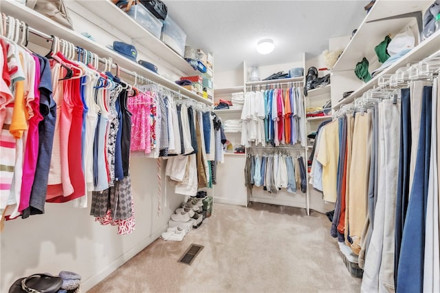 4 Slack Tide Ct, Salem, SC 29676 - spacious closet with carpet flooring