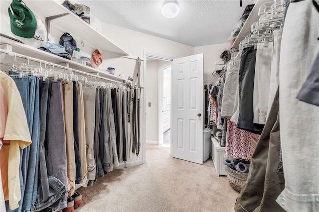 4 Slack Tide Ct, Salem, SC 29676 - walk in closet with carpet floors