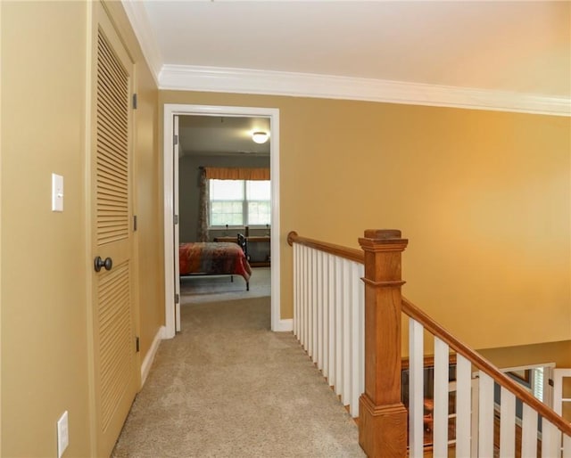 441 Liberty Hwy, Liberty, SC 29657 - photo 29