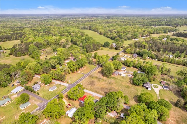 805 Cooley Bridge Rd, Pelzer, SC 29669 - view of property location featuring a heavily wooded area