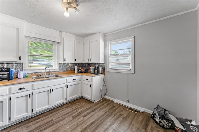 805 Cooley Bridge Rd, Pelzer, SC 29669 - kitchen with a textured ceiling, tasteful backsplash, white cabinets, dark wood-type flooring, and plenty of natural light