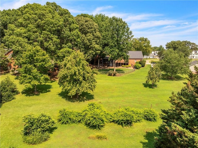 105 Wren Crossing Ct, Easley, SC 29642 - view of yard
