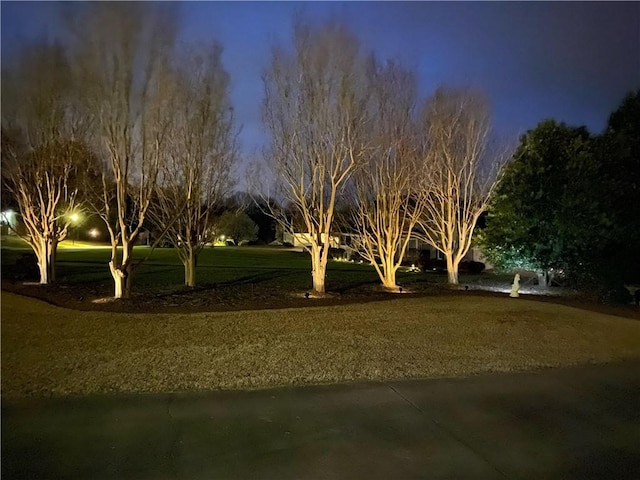 105 Wren Crossing Ct, Easley, SC 29642 - photo 43