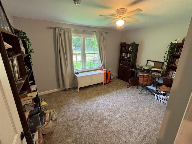 3410 Airline Rd, Anderson, SC 29624 - photo 20