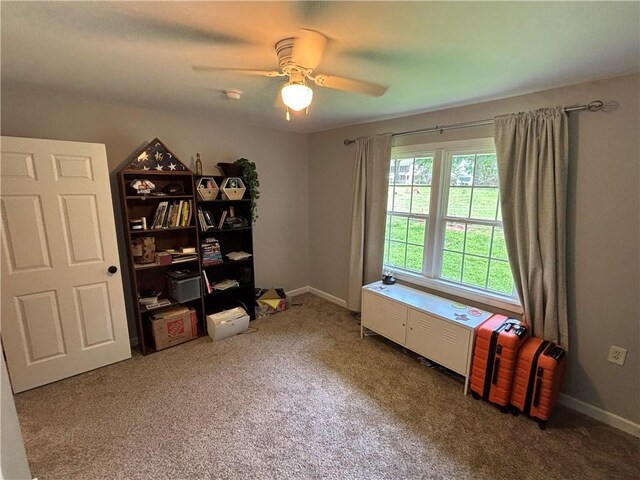 3410 Airline Rd, Anderson, SC 29624 - photo 21