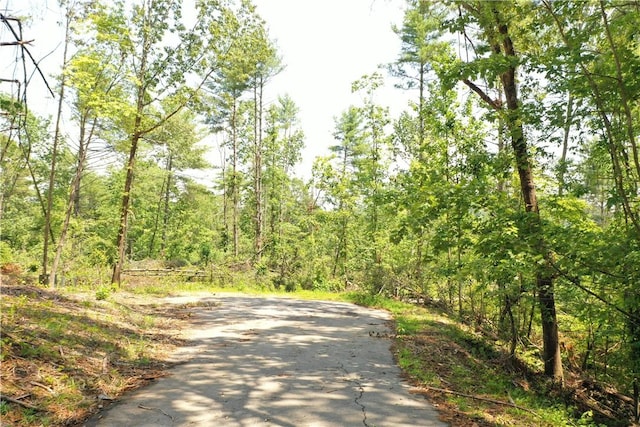 113 Sweetshrub Ct, Sunset, SC 29685 - photo 1