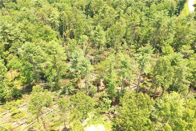 113 Sweetshrub Ct, Sunset, SC 29685 - photo 5