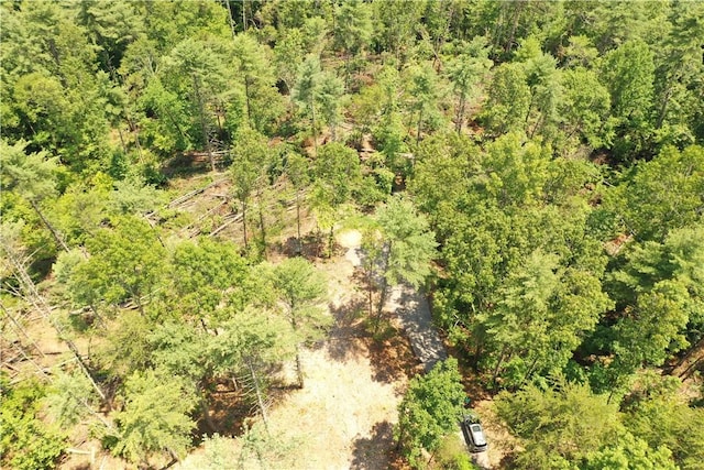 113 Sweetshrub Ct, Sunset, SC 29685 - photo 6
