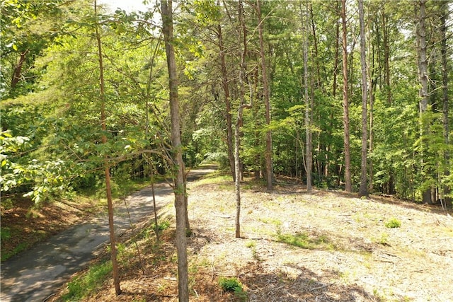 113 Sweetshrub Ct, Sunset, SC 29685 - photo 11