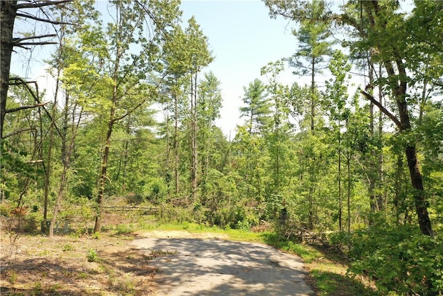 113 Sweetshrub Ct, Sunset, SC 29685 - photo 12
