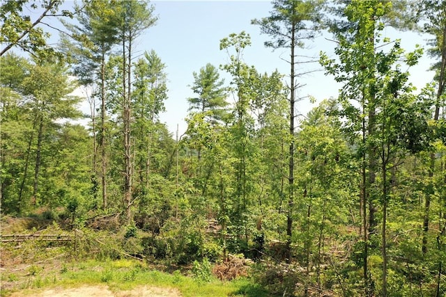 113 Sweetshrub Ct, Sunset, SC 29685 - photo 13