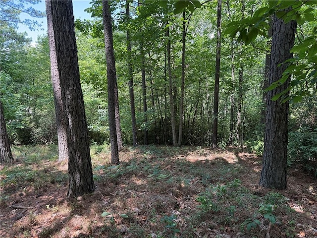 126 River Ridge Rd, Sunset, SC 29685 - photo 3