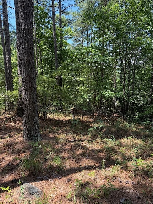 126 River Ridge Rd, Sunset, SC 29685 - photo 5