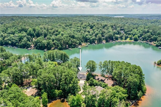 121 Starboard Tack Dr, Salem, SC 29676 - photo 49