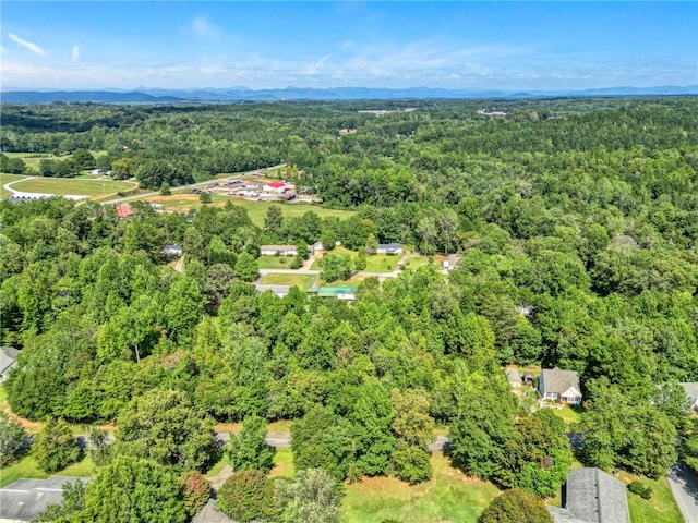 217 Castlebrook Dr, Walhalla, SC 29691 - photo 6