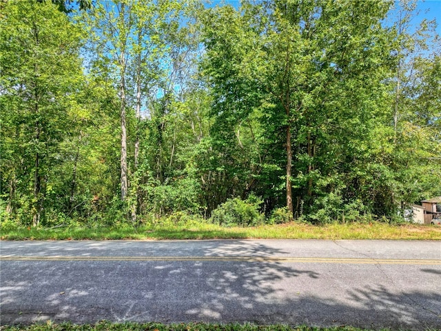 217 Castlebrook Dr, Walhalla, SC 29691 - photo 2