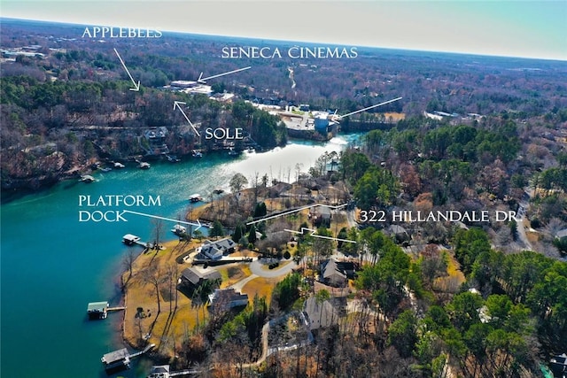 322 Hillandale Rd, Seneca, SC 29672 - photo 7