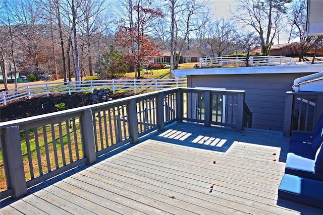 322 Hillandale Rd, Seneca, SC 29672 - photo 47