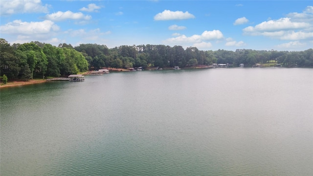 210 Rosewood Cir, Hartwell, GA 30643 - water view with a heavily wooded area