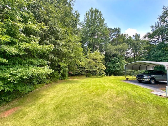 125 Cannie Ct, Seneca, SC 29672 - photo 34