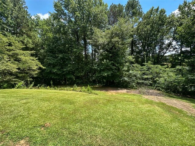 125 Cannie Ct, Seneca, SC 29672 - photo 39