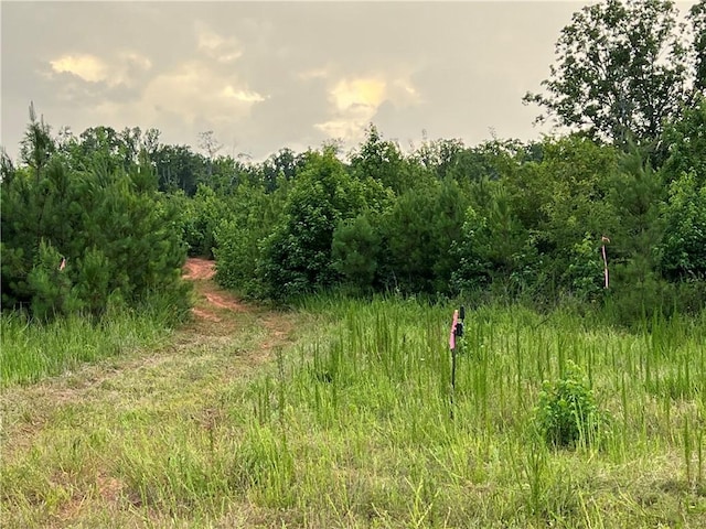 LOT4 Pickens Dr, Pendleton, SC 29670